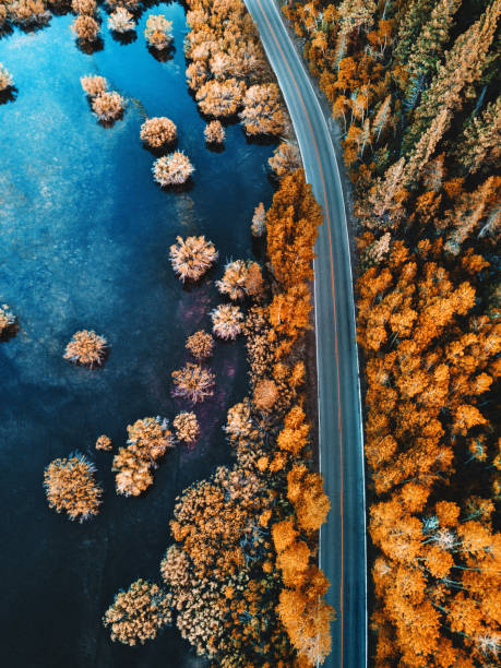 湖沿いのアカマツ林のヘリコプター ��ビュー - fog road autumn highway ストックフォトと画像