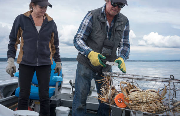 istock Crab fishing 696740736