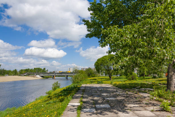 istock nature purity grass on the river bank 696745220
