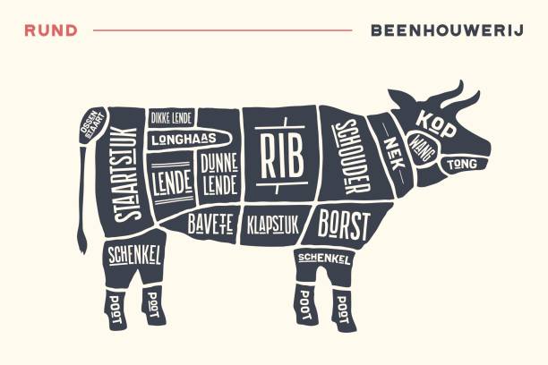 ilustrações de stock, clip art, desenhos animados e ícones de meat cuts. poster butcher diagram and scheme - beef - carne talho