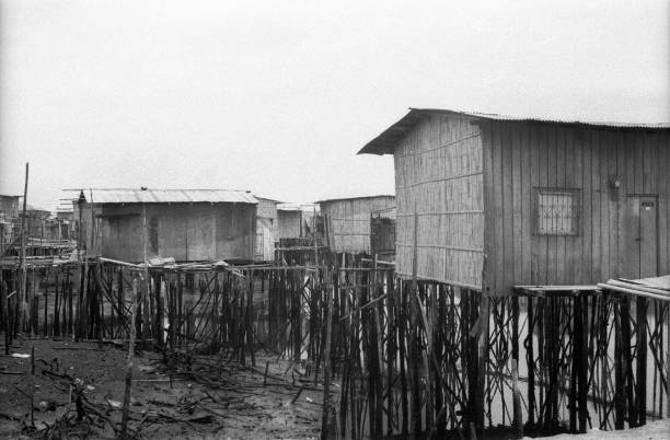 istock Stilt Houses in Guayaquil 696748908