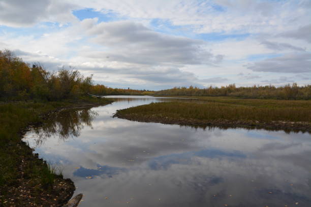 istock The nature of Yamal. 696756418