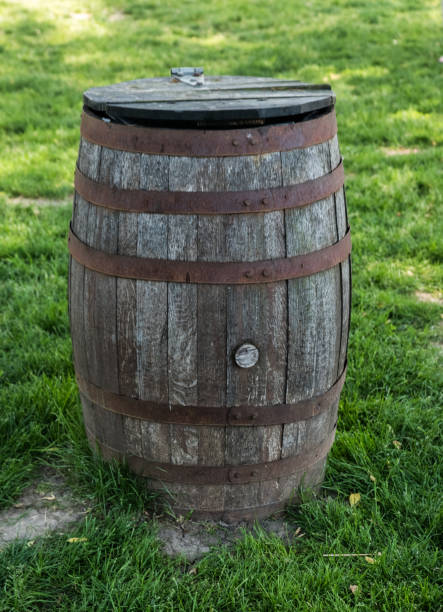istock Big wooden barrel on a green grass 696756574