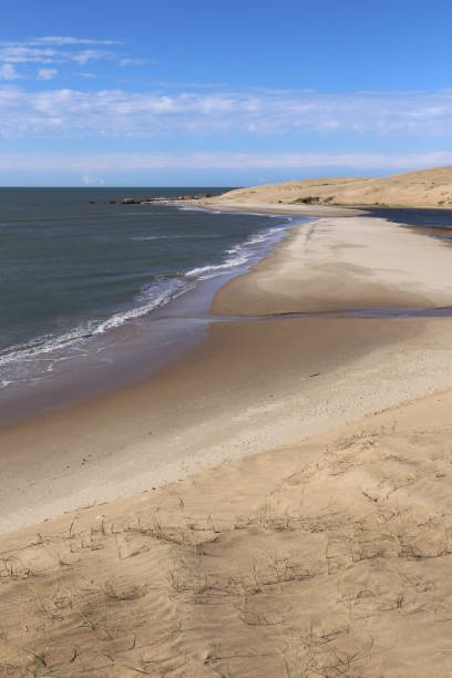 istock Dunes behind of Barra de Valizas - Uruguay 696764004