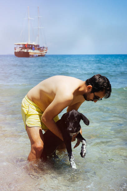 istock Man playing with his dog on the beach 696764254