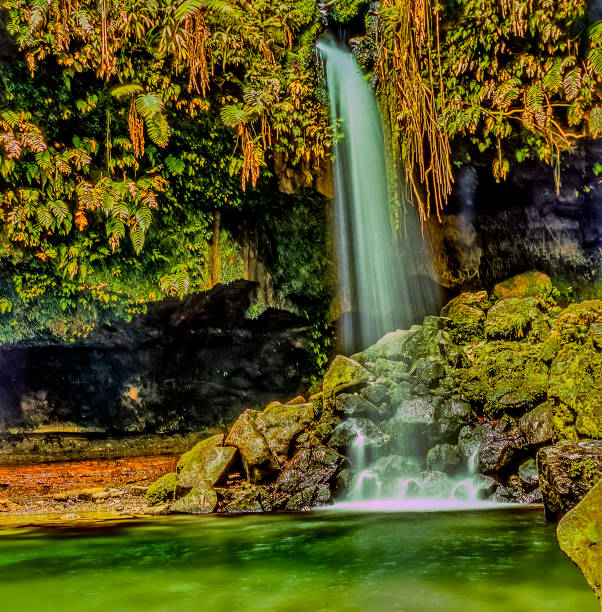 istock Island of Dominica 696767772