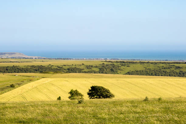 istock Looking towards Newhaven and Seaford 696770920
