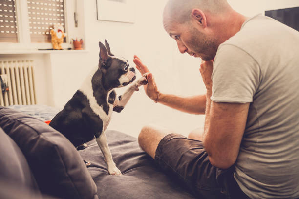 High five stock photo