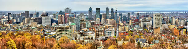 istock Montreal skyline from Mont Royal, Canada 696778470