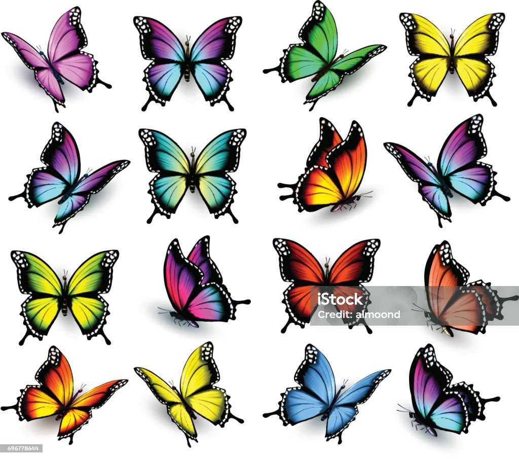 Ensemble de papillons colorés. Vector. - clipart vectoriel de Papillon libre de droits