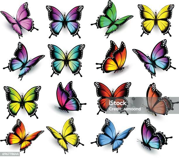 Ensemble De Papillons Colorés Vector Vecteurs libres de droits et plus d'images vectorielles de Papillon - Papillon, Multicolore, Aile d'animal