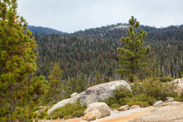 istock Olmsted Point in the Yosemite National Park. 696784474