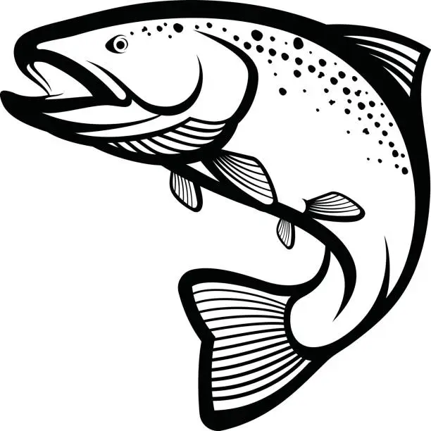 Vector illustration of Trout Fish