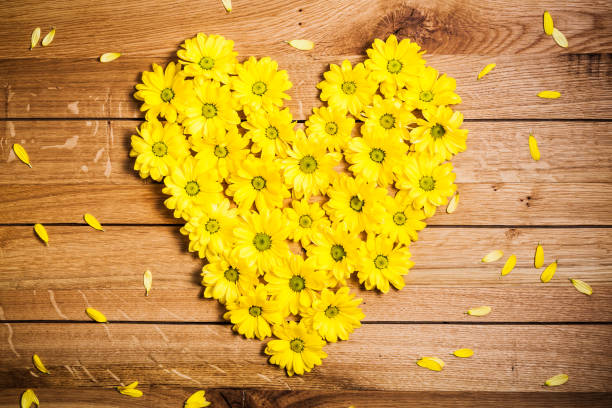 istock Fresh spring flowers in heart shape among petals on rustic grunge wood. 696793344