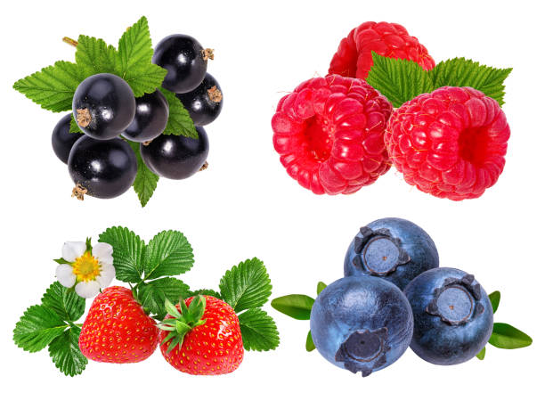 istock Berries collection. Raspberry, blueberry, currant, strawberry  isolated 696793866