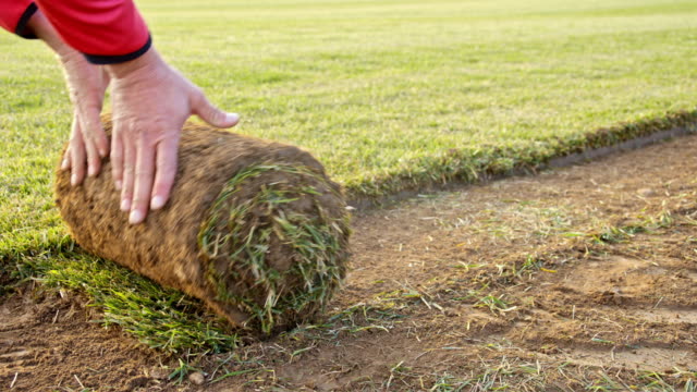 SLO MO DS Hand unroll the sod on a field