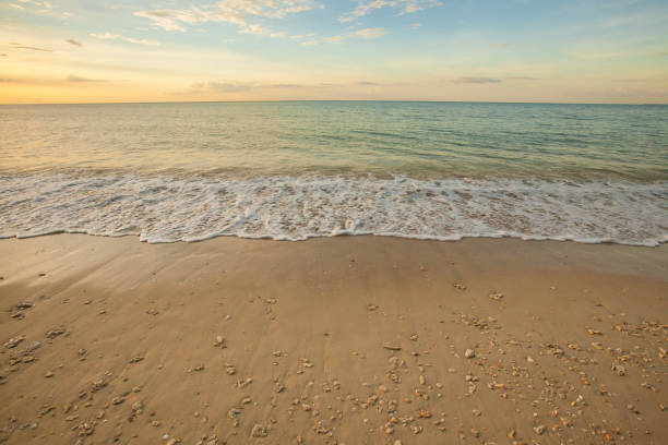 istock Wave of the sea on the sand beach 696813154