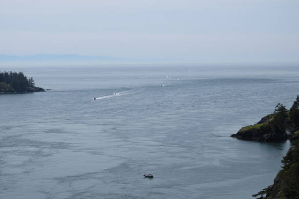 istock View of Puget Sound at Deception Pass 696814472