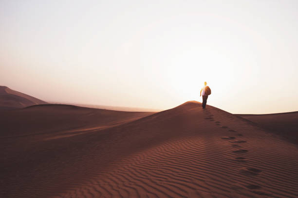 istock The infinite dunes of middle east 696823444