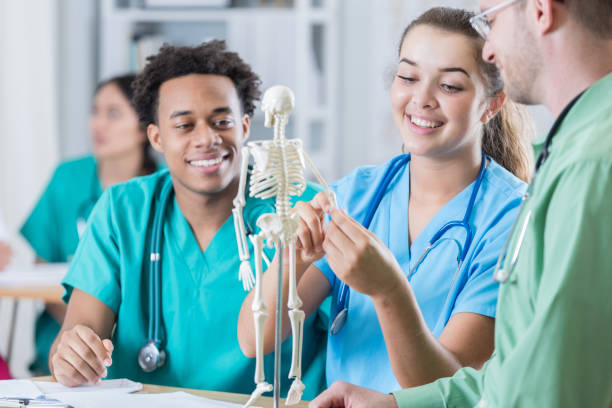 istock Medical residents examine a skeleton in the classroom 696824492