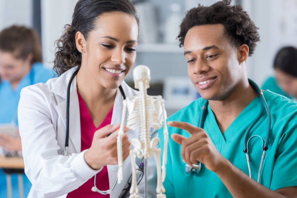 Medical professor teaches student about the skeletal system