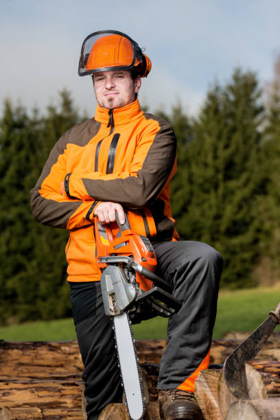 Man with chainsaw stock photo