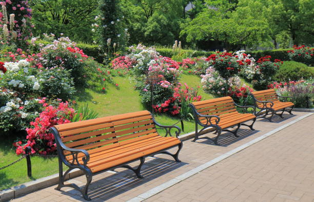 istock Park bench flower garden 696831190