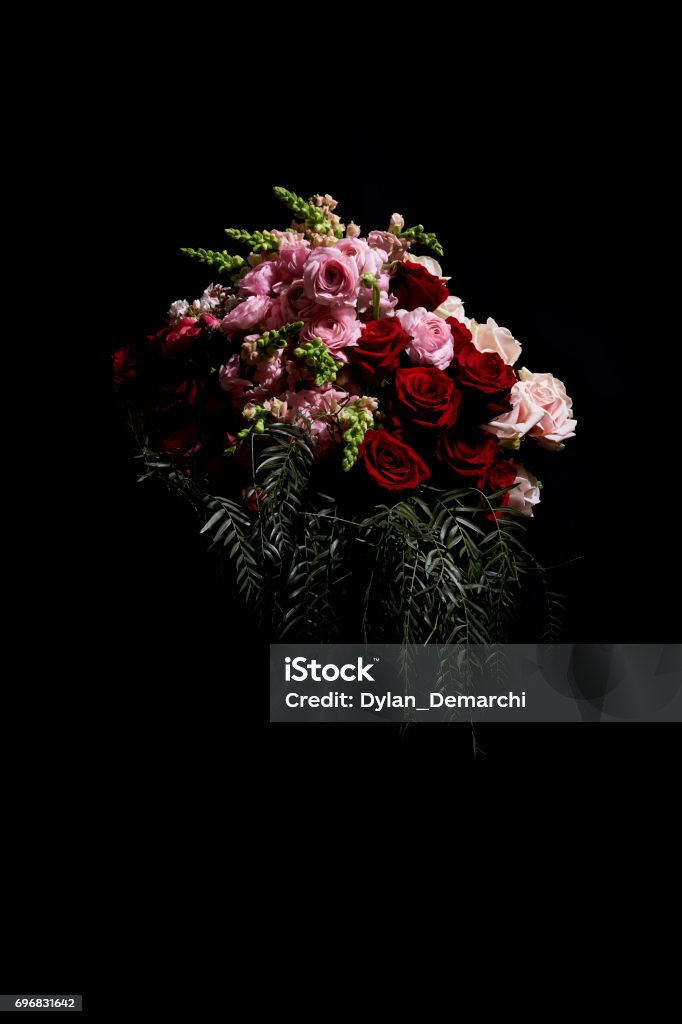 75 Background Hitam Bunga Images - MyWeb
