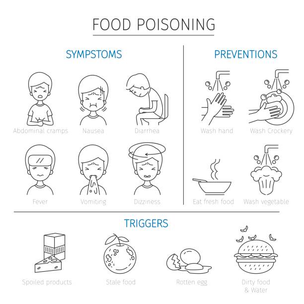 illustrations, cliparts, dessins animés et icônes de symptômes de l’intoxication alimentaire, les déclencheurs et les icônes de contour de préventions - intoxication