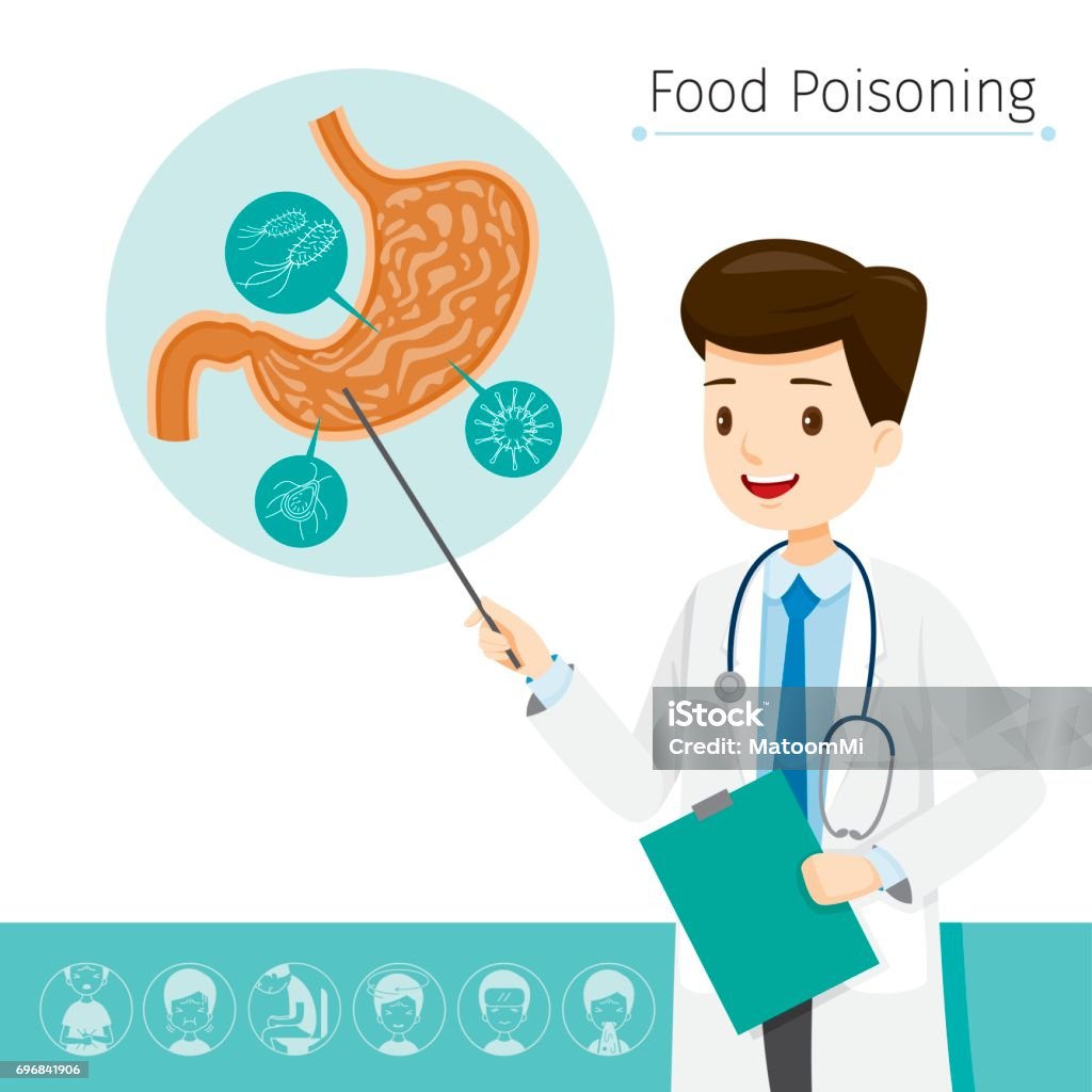 Doctor Describes About Cause To Stomachache And Food Poisoning Stomach, Internal Organs, Body, Physical, Sickness, Anatomy, Health Abdomen stock vector