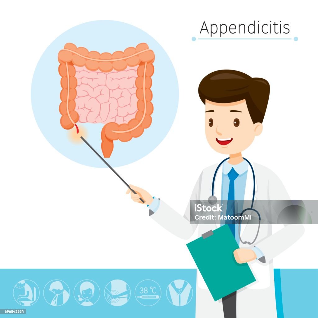 Doctor Describes About Cause To Appendicitis Appendix, Internal Organs, Body, Physical, Sickness, Anatomy, Health Symptom stock vector