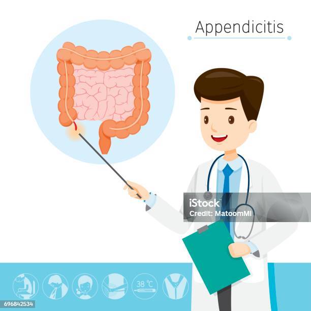 Doctor Describes About Cause To Appendicitis Stock Illustration - Download Image Now - Symptom, Cecum, Appendicitis