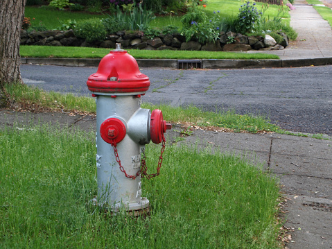 South of the downtown Spokane ,climbing up a hill,there is a residential area named South Hill. If you walk around the South Hill ,you can meet hydrants installed.