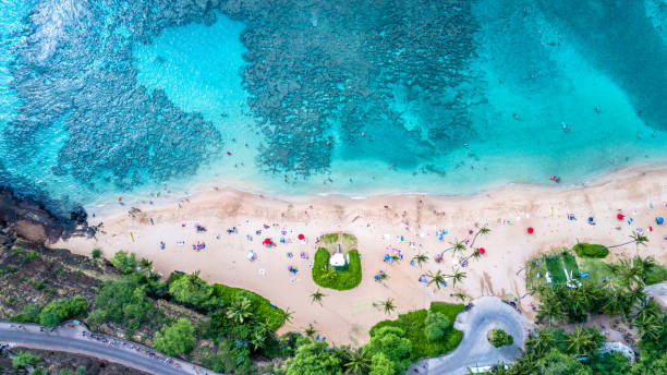 bahía de hanauma océano pacífico, esnórquel el hotel en oahu, hawai - hanauma bay fotografías e imágenes de stock