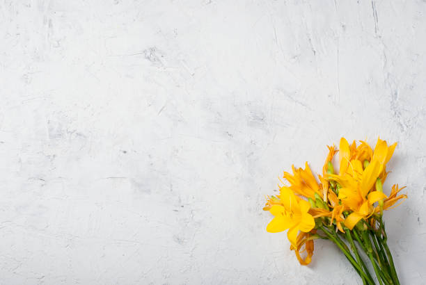 istock Bouquet of Yellow lilies on concrete white background 696846190