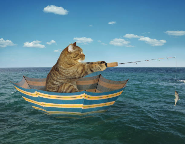 istock Cat fisherman on umbrella 696856210