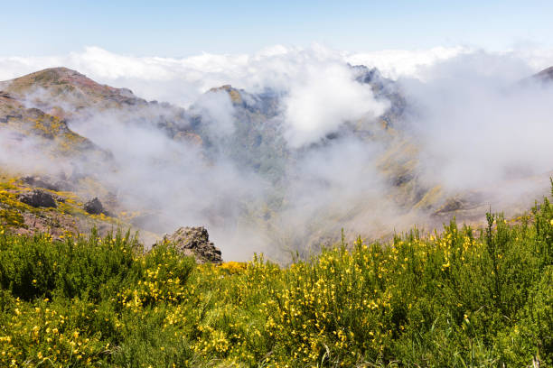 Mountain ridge above the clouds