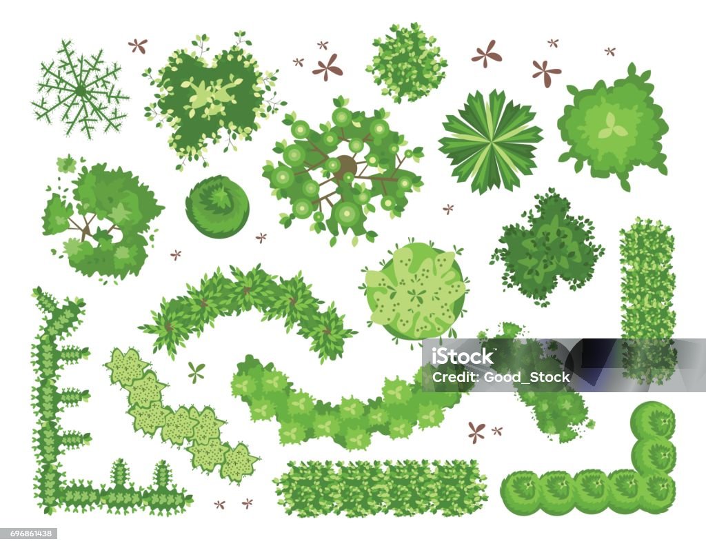 Set of different green trees, shrubs, hedges. Top view for landscape design projects. Vector illustration, isolated on white. Set of different green trees, shrubs, hedges. Top view for landscape design projects. Vector illustration, isolated on white background. Tree stock vector