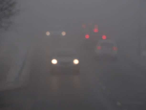 istock Frosty and foggy day on the hill 696864594