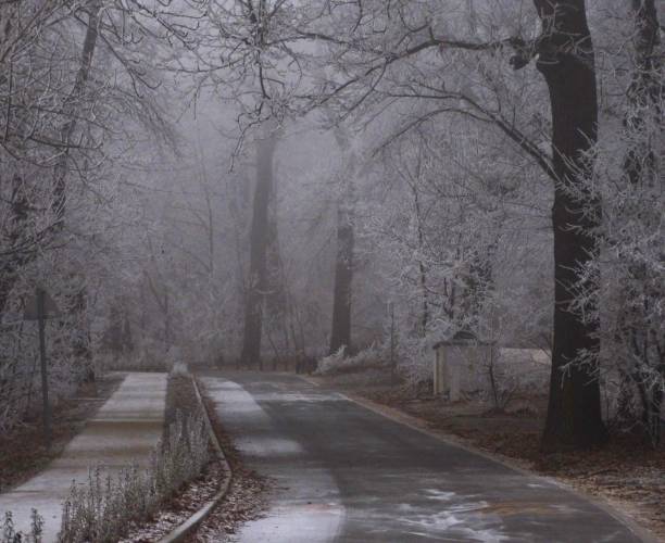istock Frosty and foggy day on the hill 696864650