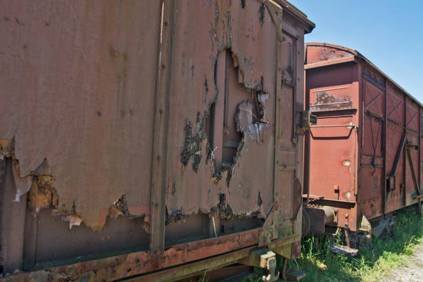 istock Old railway wagons in the grass 696872426