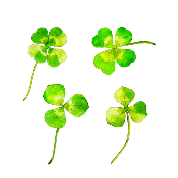 istock Clover set for Saint Patricks day, watercolor illustration in hand-drawn style isolated on white background. 696872630