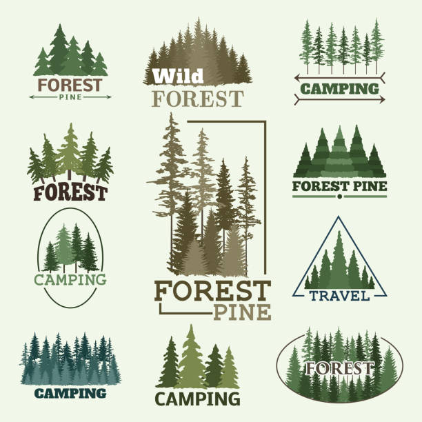 Tree outdoor travel green silhouette forest badge coniferous natural badge tops pine spruce vector Tree outdoor travel green silhouette forest coniferous natural badge tops pine spruce branch cedar and plant leaf abstract stem drawing vector illustration. Panorama scene horizon decoration. pine trees silhouette stock illustrations