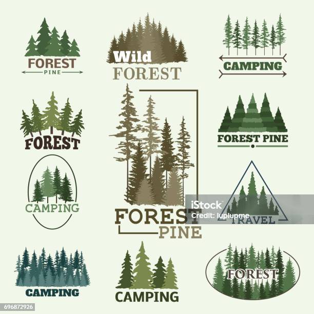 Tree Outdoor Travel Green Silhouette Forest Badge Coniferous Natural Badge Tops Pine Spruce Vector Stock Illustration - Download Image Now