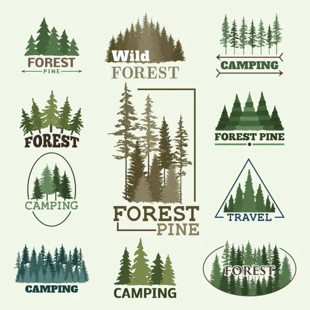 Vector illustration of Tree outdoor travel green silhouette forest badge coniferous natural badge tops pine spruce vector
