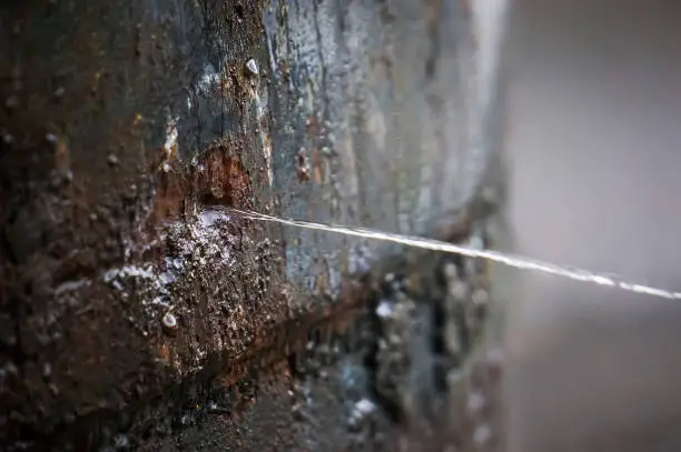 Photo of Rusty burst pipe spraying water after freezing in winter.