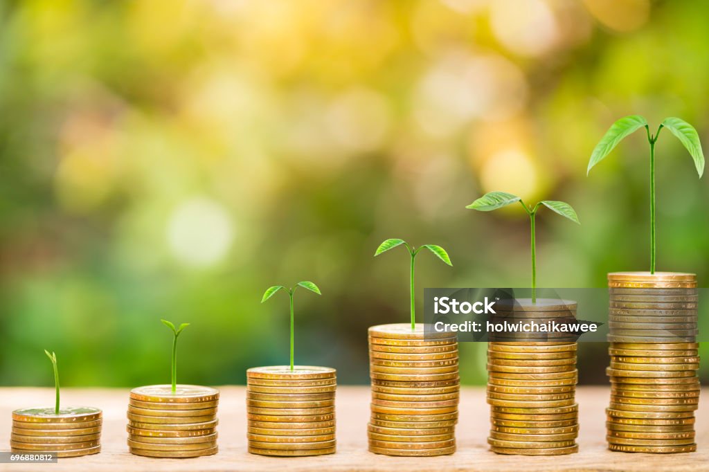 Tree growing on one dollar coins arranged as a graph on wood table with natural bokeh background Tree growing on one dollar coins arranged as a graph on wood table with natural bokeh background, concept of business growth and saving money Sustainable Resources Stock Photo