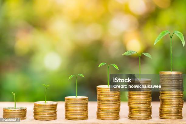Tree Growing On One Dollar Coins Arranged As A Graph On Wood Table With Natural Bokeh Background Stock Photo - Download Image Now