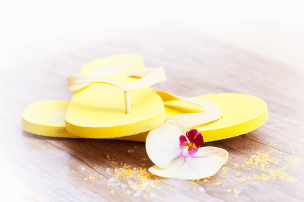 istock Summer concept, flip-flops, summer accessories 696881464