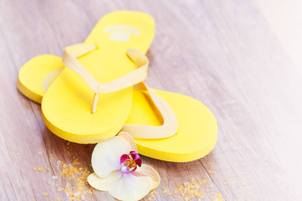 istock Summer concept, flip-flops, summer accessories 696881474